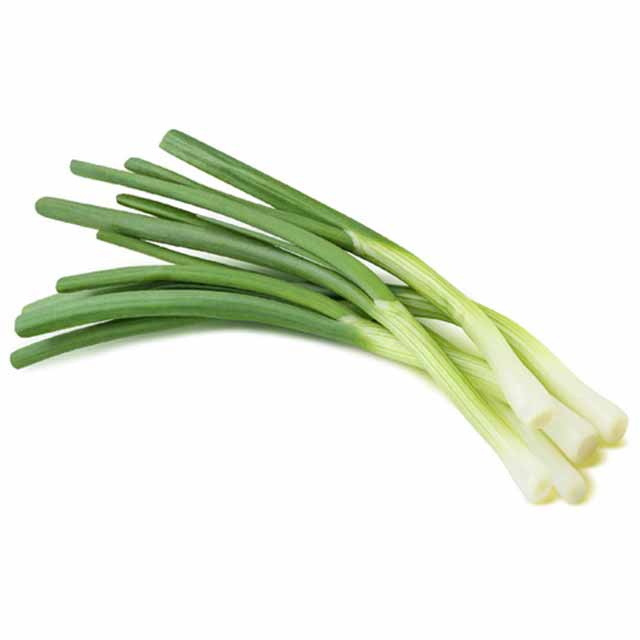 SPRING ONION – GHH Vegetables Farm